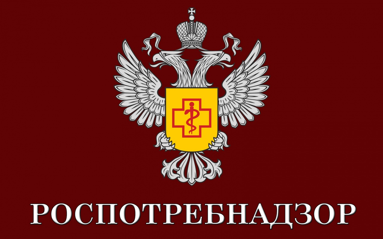 Внимание! Начинает работу «горячая линия»по вопросам защиты прав потребителей туристских услуг.